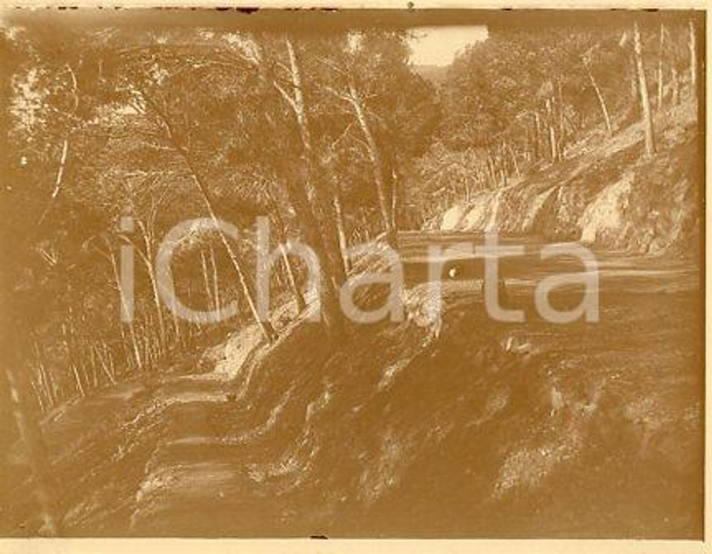 1925 ca ALGERIA ORANO - Paesaggio con bosco in penombra - Fotografia 11x9 cm Fotografia originale d'epoca.La fotografia proviene da un più vasto album che documenta i viaggi di una famiglia di nove persone attraverso l'Europa, il Nord Africa e il Sud America.La presente fotografia è stata scattata in Algeria, più precisamente nella zona di Orano. Rappresenta un'interessante testimonianza di viaggio verso luoghi esotici e lontani o verso i principali monumenti dell'Europa dell'epoca. GOOD/buono  Formato: 11x9 cm originale e autentica 1