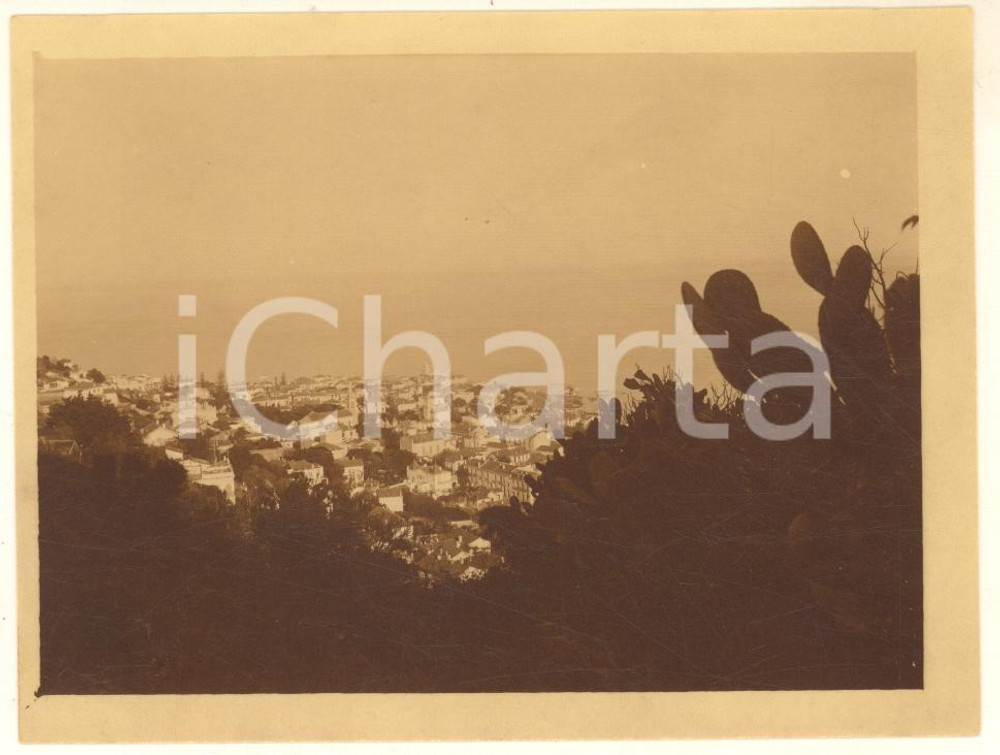 1925 ca ALGERI - Paesaggio - Città e mare visti dall'alto - Fotografia 11x9 cm Fotografia originale d'epoca.La fotografia proviene da un più vasto album che documenta i viaggi di una famiglia di nove persone attraverso l'Europa, il Nord Africa e il Sud America.La presente fotografia è stata scattata in Algeria, più precisamente nella zona di Algeri. Rappresenta un'interessante testimonianza di viaggi verso luoghi esotici e lontani o verso i principali monumenti dell'Europa dell'epoca. GOOD/buono  Formato: 11x9 cm originale e autentica 1