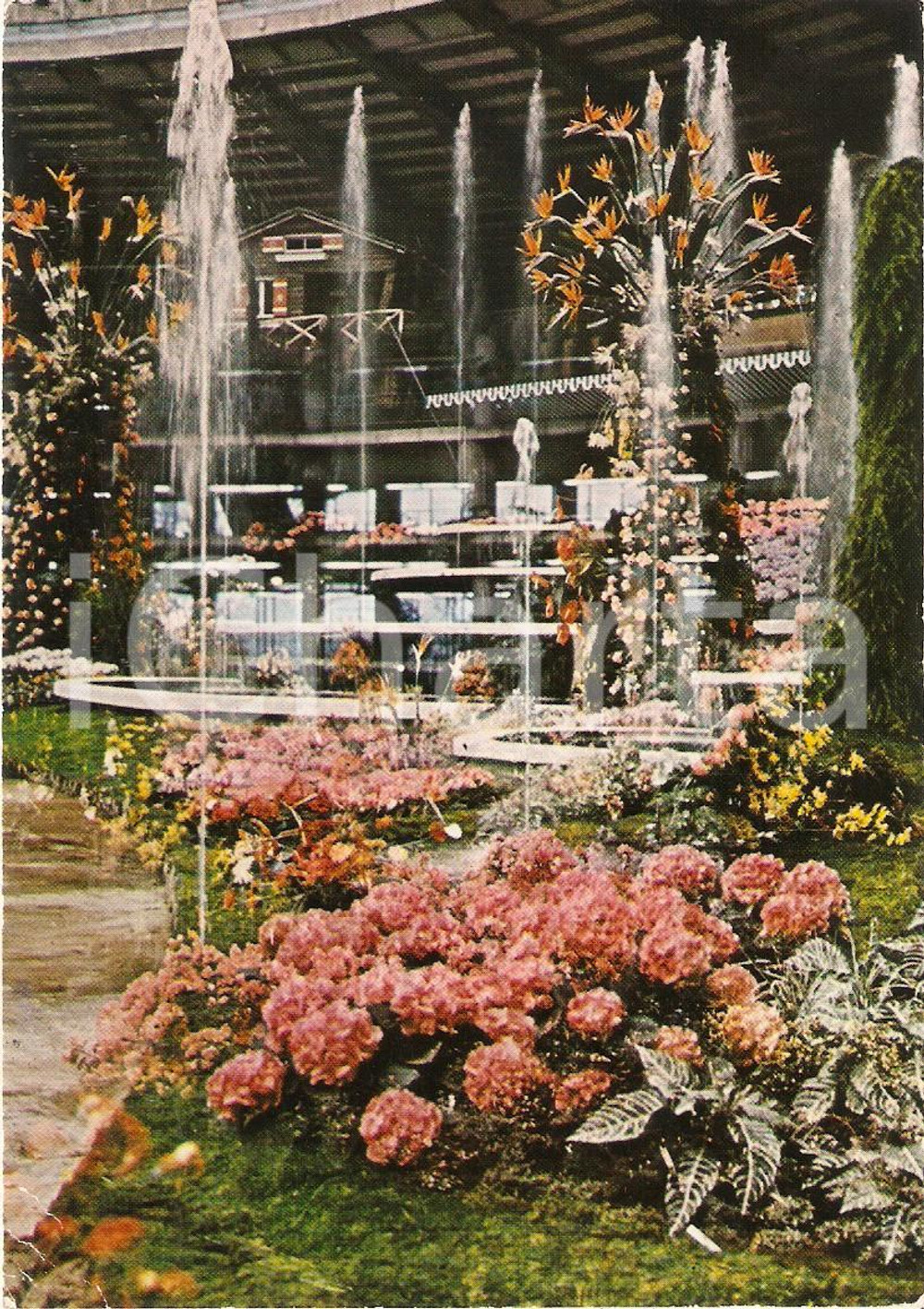 Cartolina originale da collezione 1971 GENOVA Fiera 2° EUROFLORA Allestimento floreale Cartolina VINTAGE FG NV 1