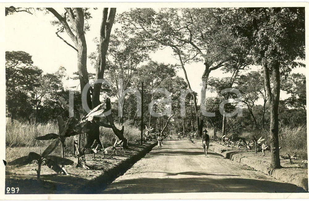1930 ca CONGO BELGE - KATANGA - LUISHIA - Boulevard - Photo L. GABRIEL 297 Fotografia originale d'epoca, in formato cartolina postale.FOTOGRAFO: L&eacute;opold Gabriel - Panda - Katanga  GOOD/buono  Formato: 14x9 cm originale e autentica 1