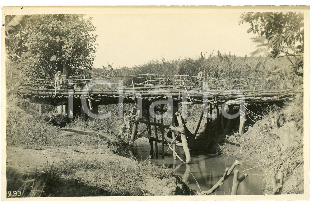 1930 ca CONGO BELGE - MULUNGWISHI Pont troncs d'arbres (2) Photo L. GABRIEL 293 Fotografia originale d'epoca, in formato cartolina postale.FOTOGRAFO: L&eacute;opold Gabriel - Panda - Katanga  GOOD/buono minime macchie al lato superiore Formato: 14x9 cm originale e autentica 1