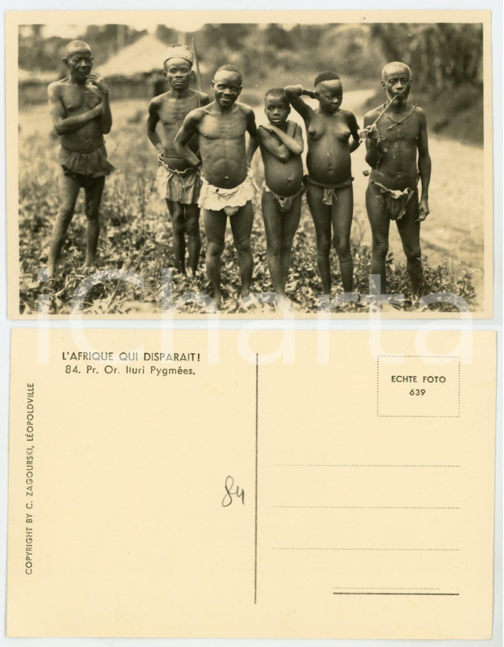 1930 ca C. ZAGOURSKI «L'Afrique qui Disparait» Pr. Or. Ituri PYGMEES - Postcard  Fotocartolina postale d'epoca, appartenente alla serie &laquo;L'Afrique qui dispara&icirc;t&raquo; del fotografo Casimir Zagourski (L&eacute;opoldville).Non viaggiata.CONDIZIONI: FAIR (piegature al lato superiore)FORMATO: 14x9 cm     originale e autentica 1