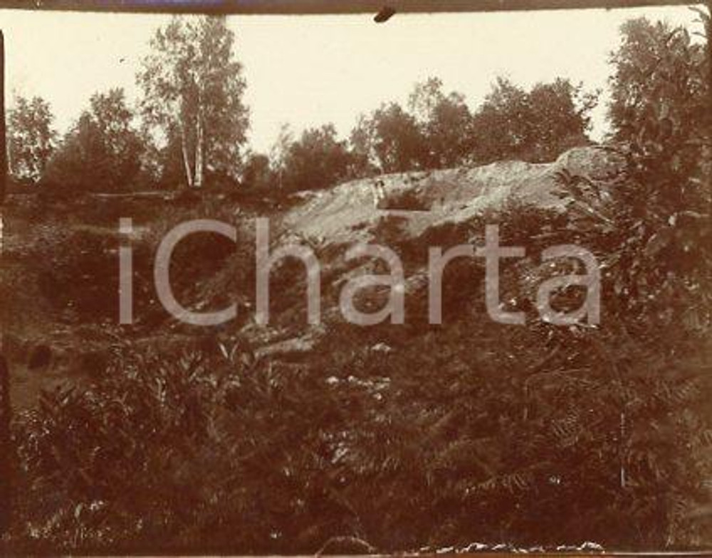 1925 ca VERSAILLES - Paesaggio boschivo - Fotografia 11x9 cm Fotografia originale d'epoca.La fotografia proviene da un più vasto album che documenta i viaggi di una famiglia di nove persone attraverso l'Europa, il Nord Africa e il Sud America.Rappresenta un'interessante testimonianza di molteplici viaggi verso luoghi esotici e lontani o i principali monumenti dell'Europa dell'epoca. GOOD/buono ma difetti di stampa Formato: 11x9 cm originale e autentica 1