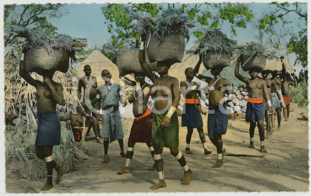 1960ca L'AFRIQUE EN COULEURS Scène de vie africaine NU ETHNIQUE Carte postale  Cartolina postale d'epoca, non viaggiata .EDIZIONE: Editions Hoa-Qui, ParisSERIE: L'Afrique en couleurs - n. 1363CONDIZIONI: GFORMATO: FP    originale e autentica 1