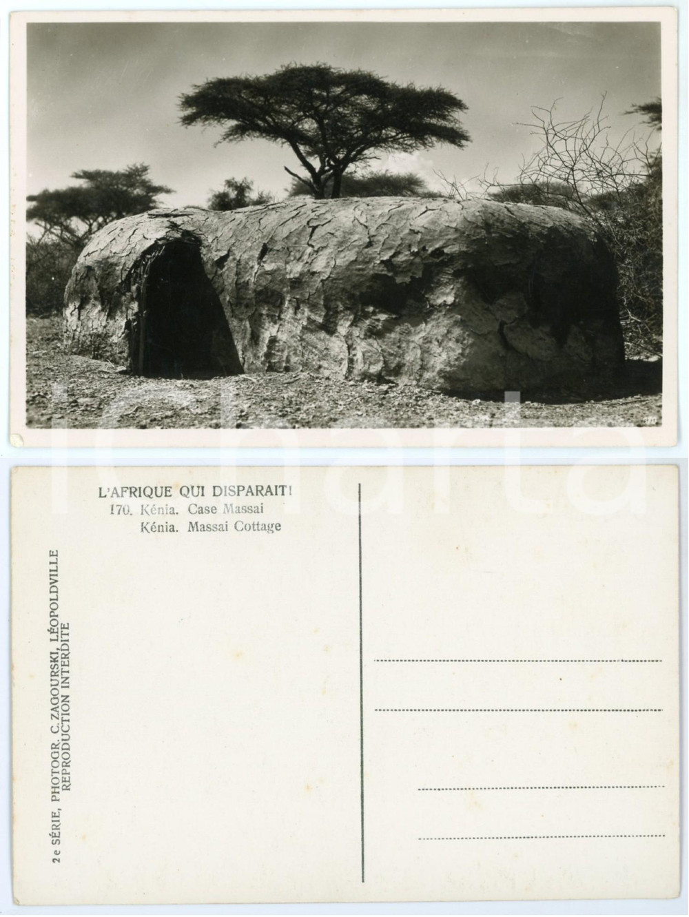1930 C. ZAGOURSKI «L'Afrique qui disparaît» KENIA Case MASSAI Postcard 170  Fotocartolina postale d'epoca, appartenente alla 2^serie «L'Afrique qui disparaît» del fotografo Casimir Zagourski (Léopoldville).N°170, non viaggiata. GOOD/buono  Formato: 14x9 cm originale e autentica 1