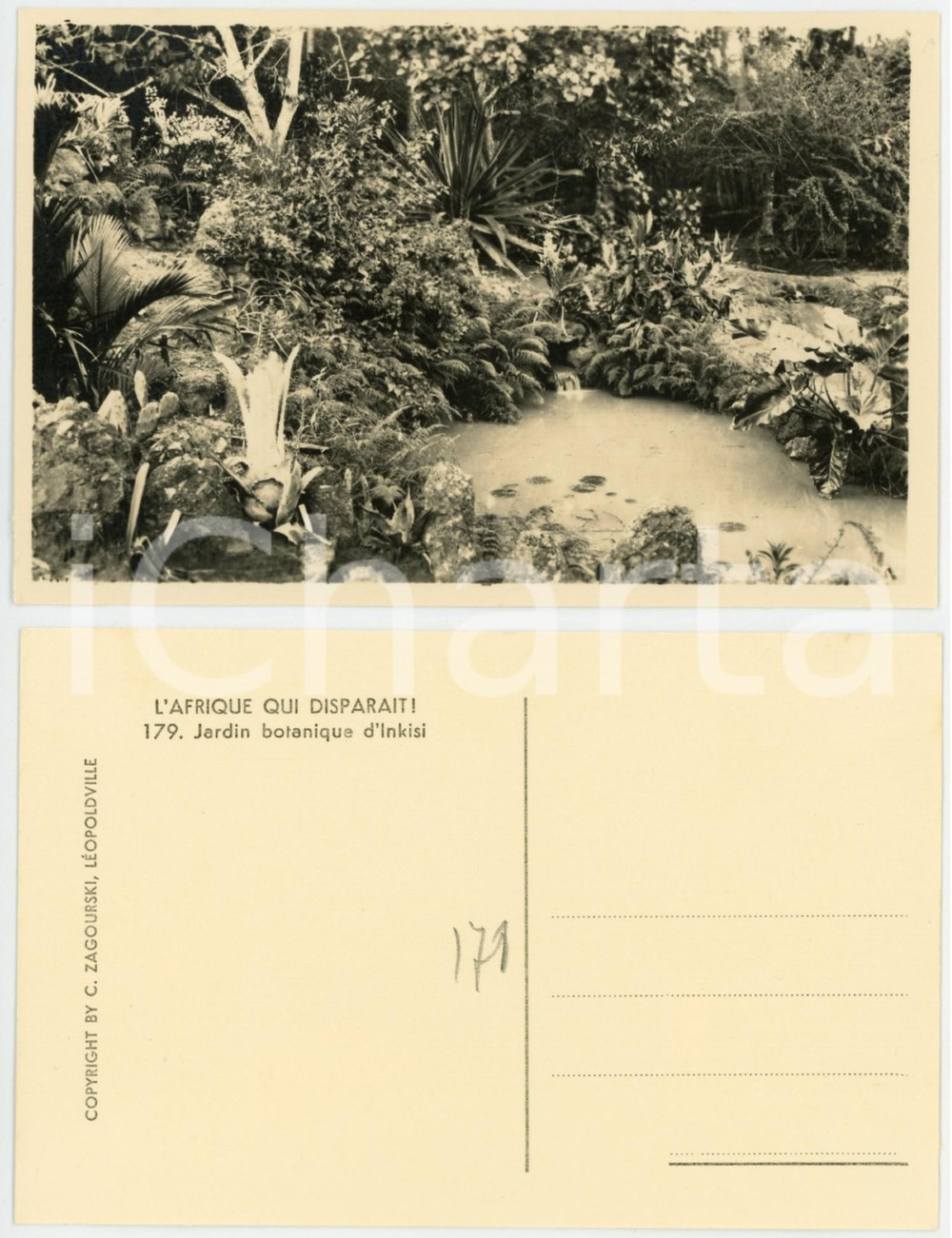 1930 ca ZAGOURSKI «L'Afrique quidisparaît» Jardin botanique d'INKISI n.179  Fotocartolina postale d'epoca, appartenente alla serie «L'Afrique qui disparaît» del fotografo Casimir Zagourski (Léopoldville).N° 179, non viaggiata. GOOD/buono  Formato: 14x9 cm originale e autentica 1