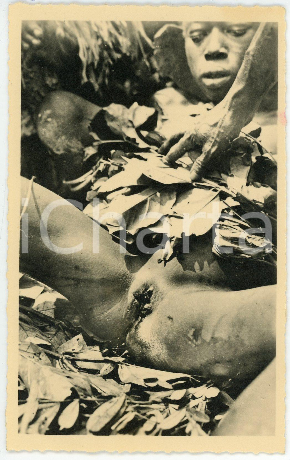 1950 ca René PAULEAU - Excision chez les M'BAKA-MANDJA (CAMEROUN) 10 Postcard  Fotocartolina postale d'epoca, appartenente alla serie «Collection Ethnographique» del fotografo René Pauleau (Douala, Camerun).Didascalia : "17 - 2e phase de l'initiation de l'excision chez les M'Baka-Mandja. Ablation du clitoris - Après l'opération".Non viaggiata. GOOD/buono  Formato: 9x14 cm originale e autentica 1