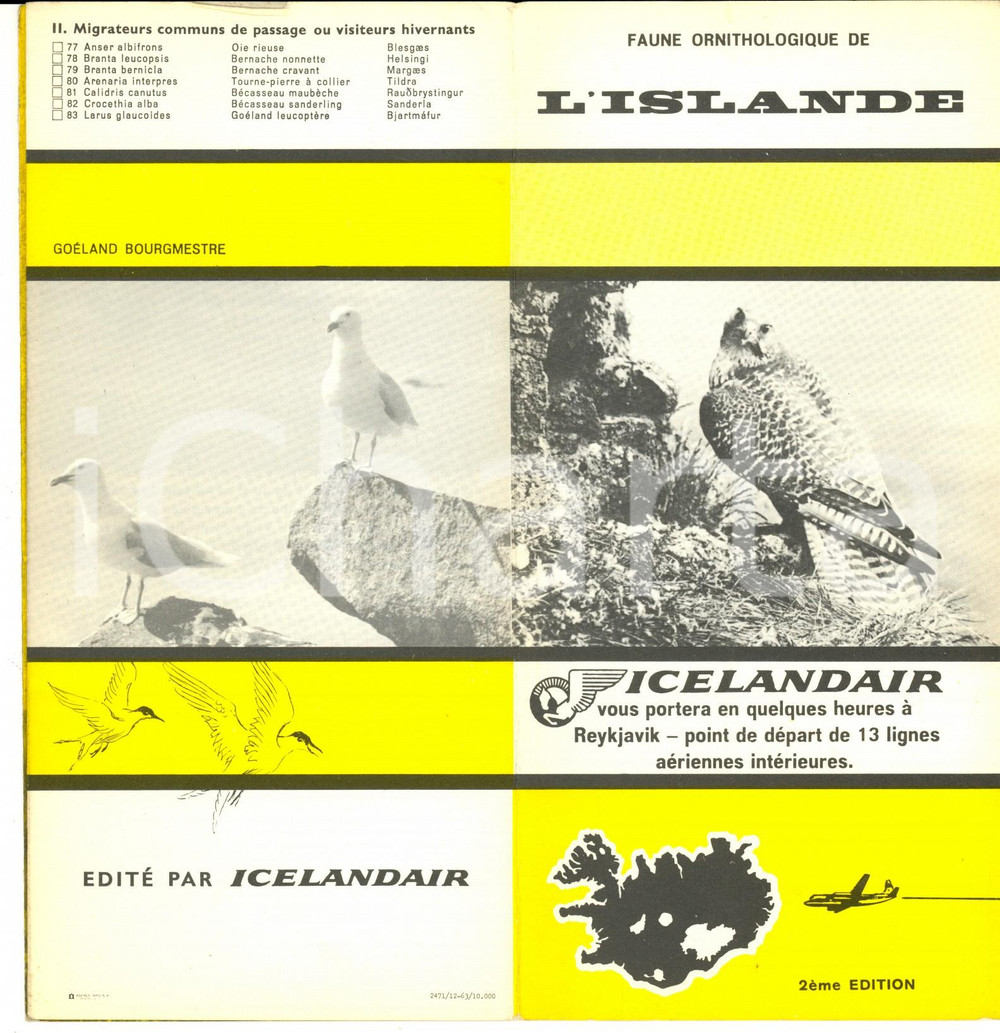Materiale pubblicitario d’epoca 1963 ISLANDE Faune ornithologique Brochure ILLUSTREE 2eme édition ICELANDAIR 3 1