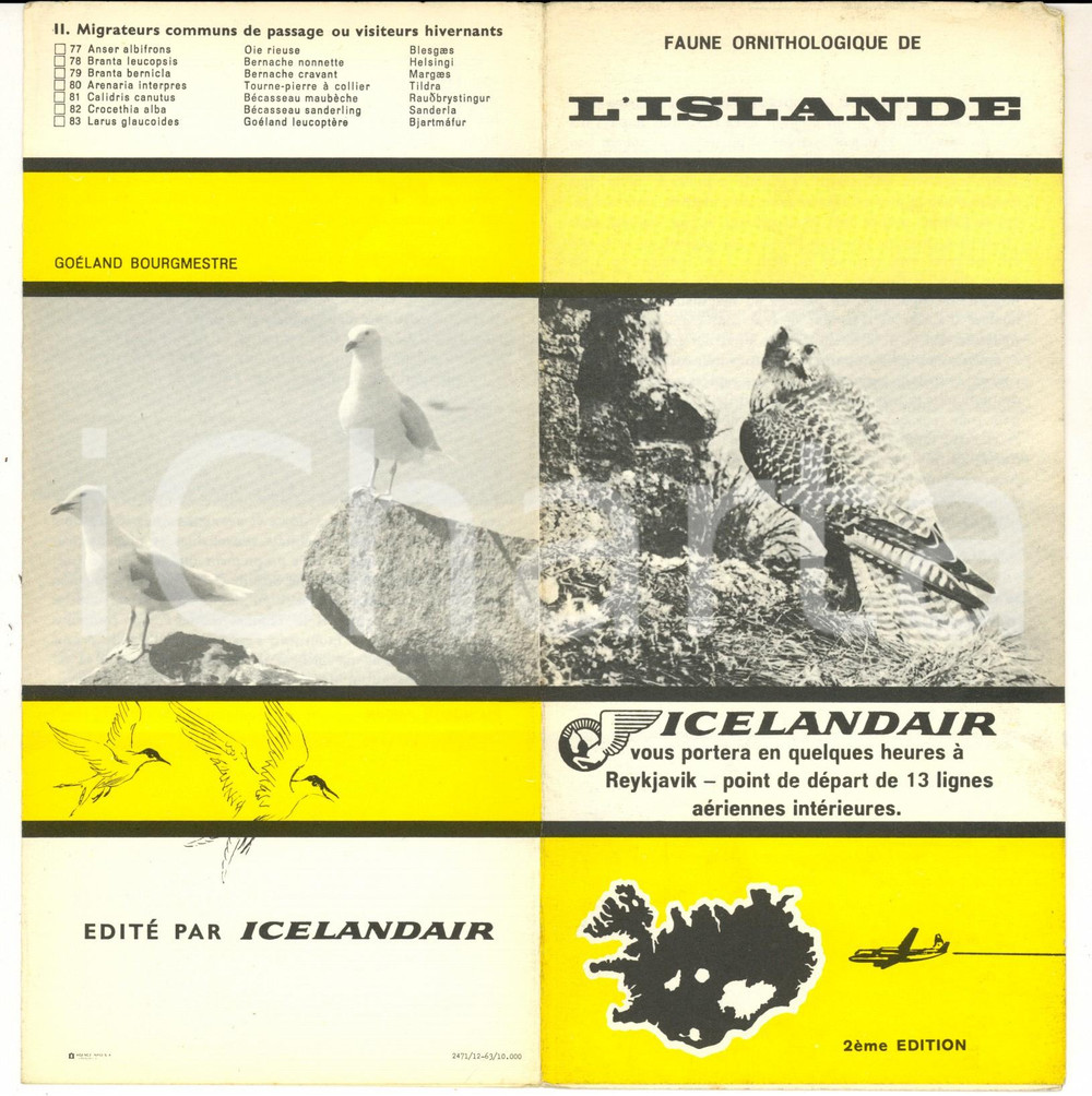 Materiale pubblicitario d’epoca 1963 ISLANDE Faune ornithologique Brochure ILLUSTREE 2eme édition ICELANDAIR 2 1