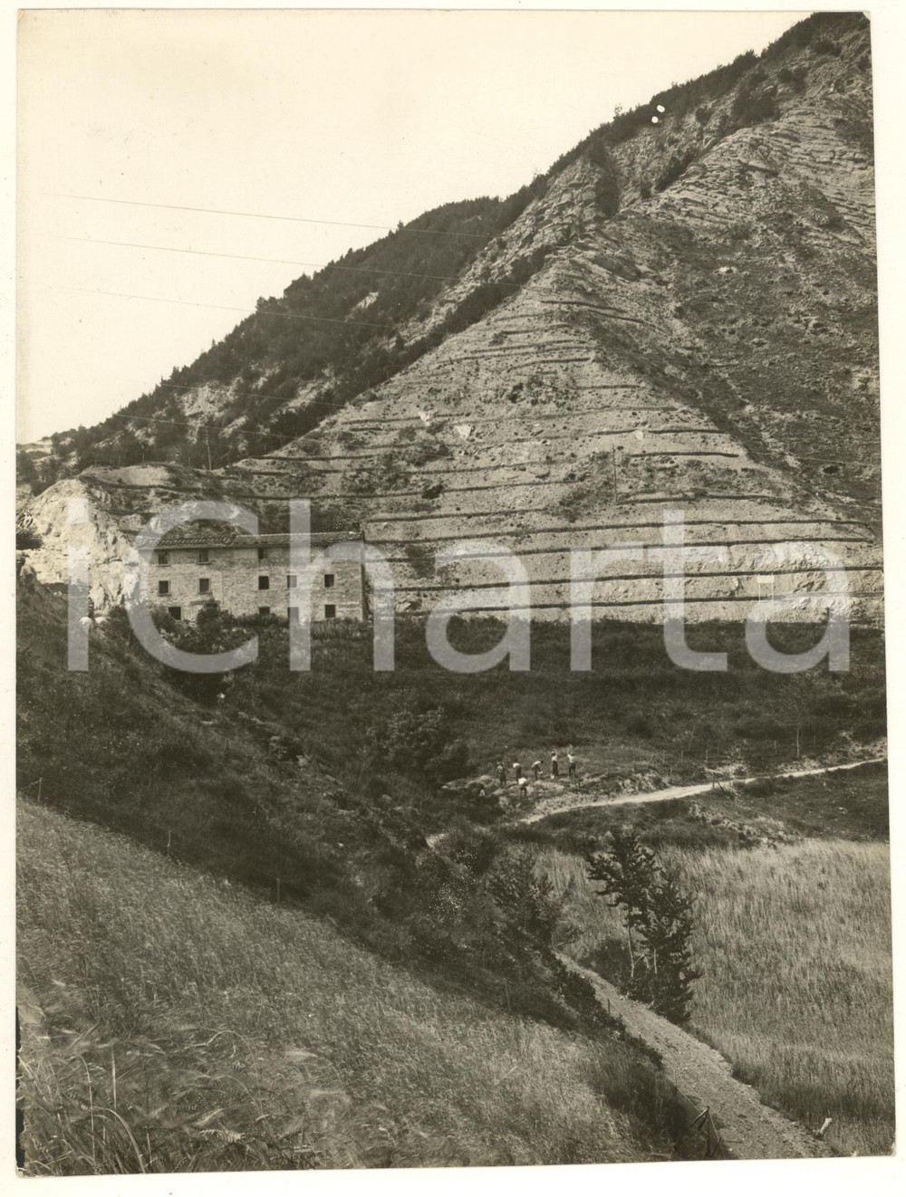 1940 ca Passo COLLA DI CASAGLIA (FI) Sistemazione forestale - Pendice *Foto  Fotografia originale d'epoca, con didascalia al verso. FAIR/discreto piegatura al lato superiore; smussatura angolare; margine rifilato Formato: 18x24 cm originale e autentica 1
