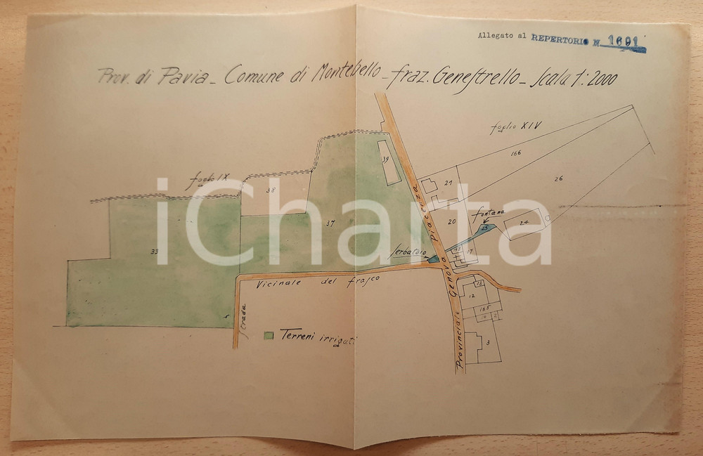 Mappa, planimetria storica 1945 ca GENESTRELLO / MONTEBELLO PV Strada Vicinale del Frasco Planimetria 1