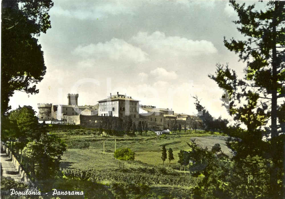 Cartolina originale da collezione 1960 ca POPULONIA LI Panorama della cittadina  Cartolina FG NV 1