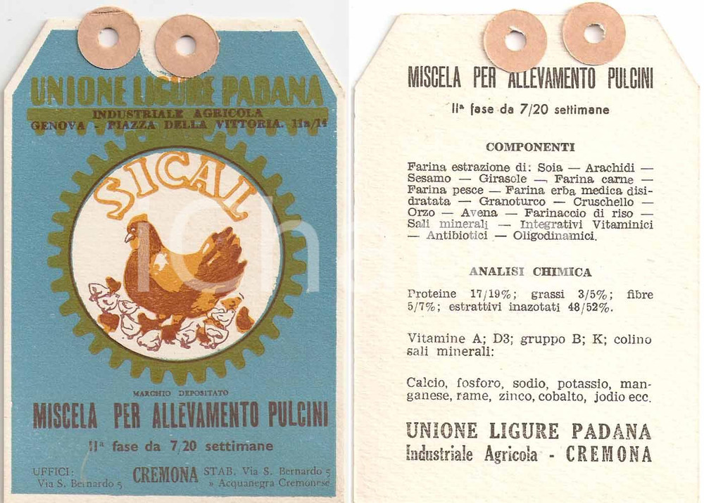 Materiale pubblicitario d’epoca 1950 ca GENOVA Unione Ligure Padana Etichetta SICAL Miscela per pulcini 1