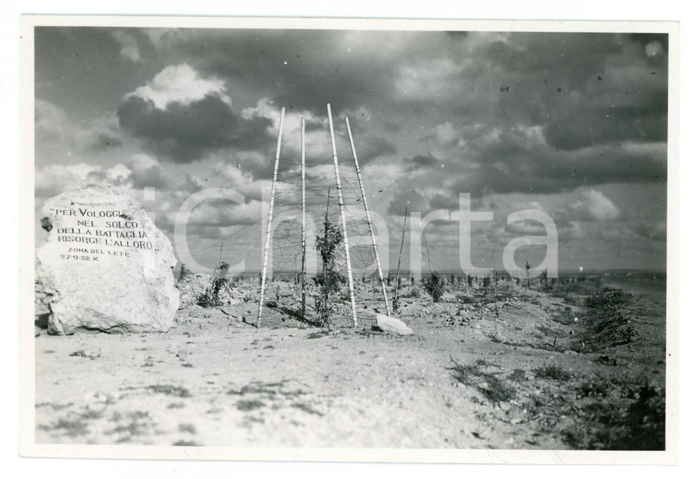 1932 BENGASI Rimboschimento nella zona del LETE Foto 17x11 cm Fotografia originale d'epoca, con didascalia al verso.FOTOGRAFO: Studio fotografico Dinami - Bengasi FAIR/discreto Difetti di stampa Formato: 17x11 cm originale e autentica 1