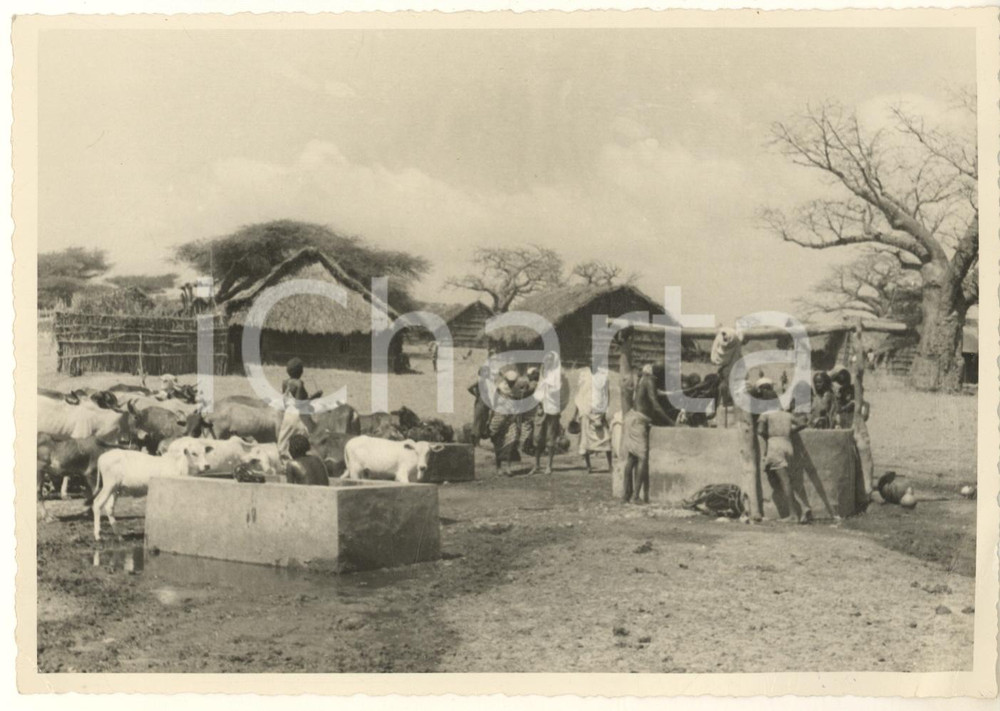 1937 AOI SOMALIA ITALIANA - Pozzo nel villaggio di TORDA - Foto ANIMATA Fotografia originale d'epoca, con timbro datario e didascalia manoscritta al verso. POOR/danneggiato piegature al lato destro Formato: 18x13 cm originale e autentica 1