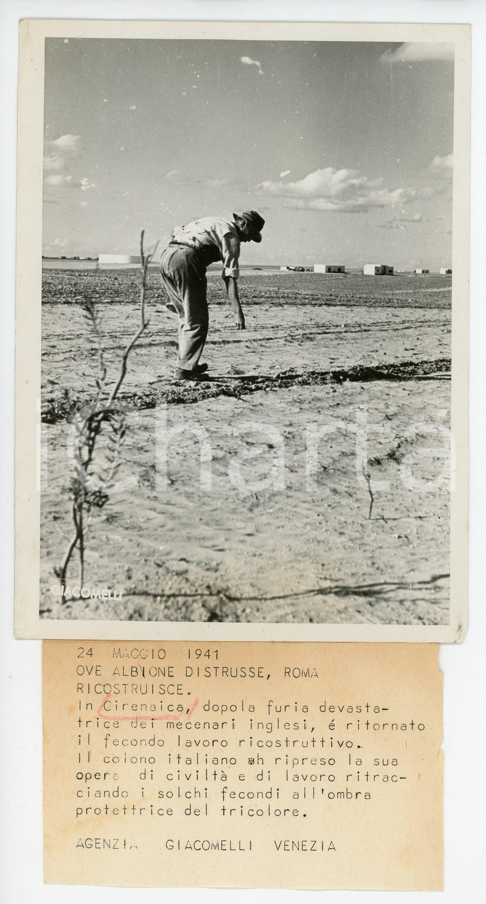 1941 LIBIA - CIRENAICA Colono italiano semina dopo un attacco inglese - Foto Fotografia originale d'epoca, con timbro datario al verso e didascalia. POOR/danneggiato Piegature agli angoli, graffi sulla superficie della foto Formato: 13x18  cm originale e autentica 1
