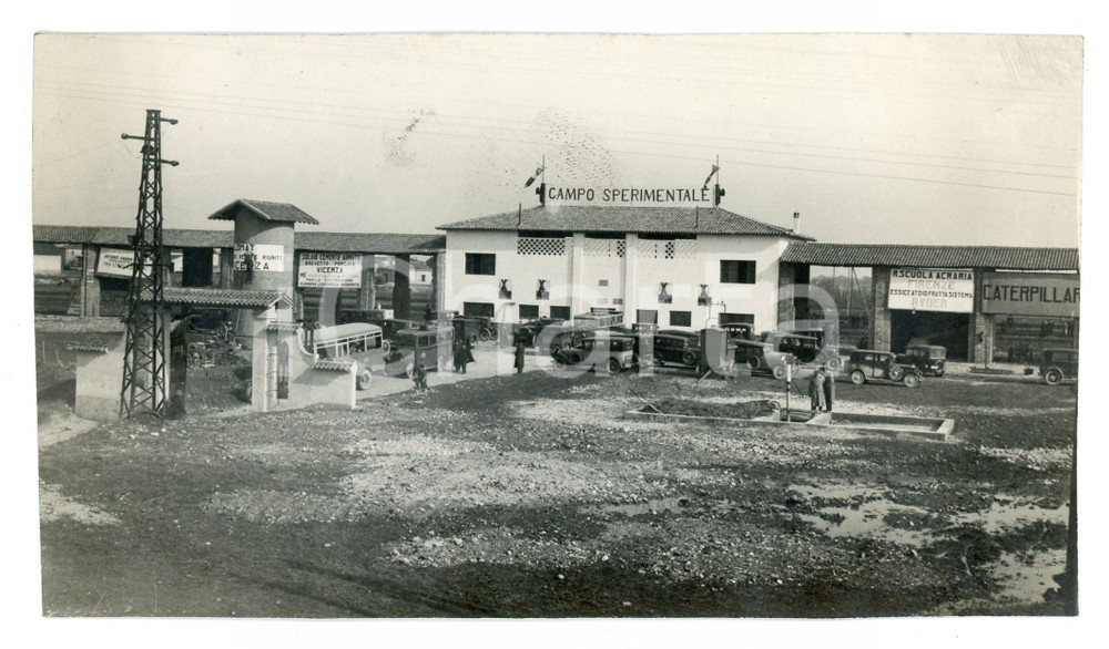 1933 VERONA - AGRICOLTURA Veduta del Campo Sperimentale - Foto 17x9 cm Fotografia originale d'epoca. POOR/danneggiato Margini rifilati a mano, macchie al recto Formato: 17x9 cm originale e autentica 1