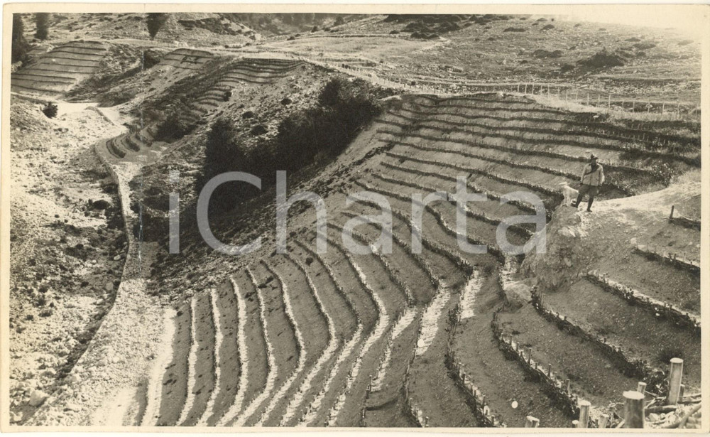 1935 ca BONIFICHE FROSINONE Valle del Liri - Pendice sistemata *Foto DANNEGGIATA Fotografia originale d'epoca, con didascalia al verso. VERY POOR/gravemente danneggiato profonda piegatura verticale; margine inferiore leggermente rifilato Formato: 24x14 cm originale e autentica 1