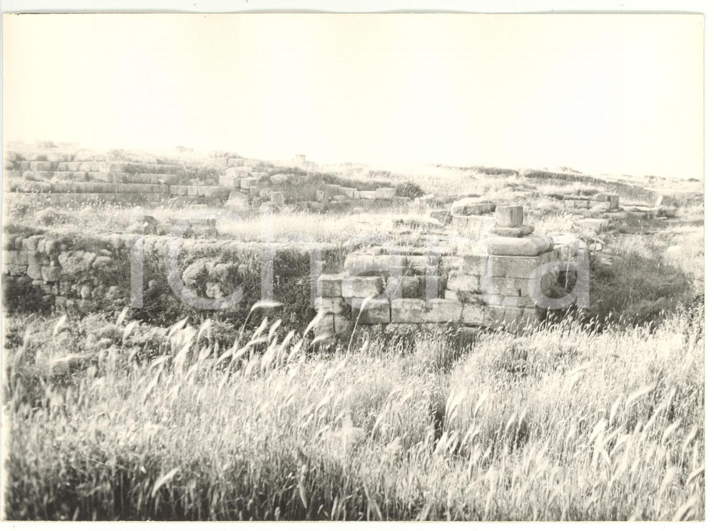 Fotografia d epoca originale 1976 TARQUINIA VT Ara della Regina  Resti di un tempio  Foto 18x13 1