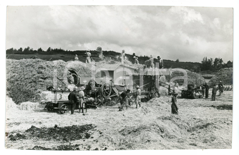1935 ca GEBEL EL-ACHDAR (CIRENAICA) Coloni e soldati trebbiano grano - Foto Fotografia originale d'epoca, con didascalia al verso. VERY POOR/gravemente danneggiato piegatura al margine sinistro, margini rifilati mano Formato: 21x14 cm originale e autentica 1