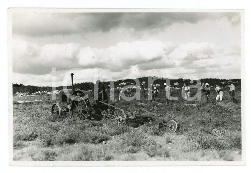 1933 GEBEL EL-ACHDAR Prima aratura dell'Ente di Colonizzazione - Foto 17x11 cm Fotografia originale d'epoca, con timbro datario e didascalia al verso. FAIR/discreto Lieve piegatura all'angolo inferiore destro, Formato: 17x11 cm originale e autentica 1