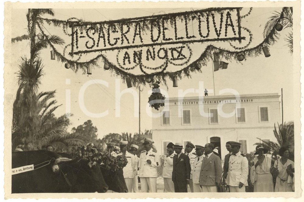 1931 TRIPOLI (LIBIA) 1^ Sagra dell'Uva - Governatore Pietro BADOGLIO con i carri Fotografia originale d'epoca, con timbro datario e didascalia al verso.E' ritratto il gruppo delle autorità alla sfilata dei carri. GOOD/buono minime macchie Formato: 16x11 cm originale e autentica 1