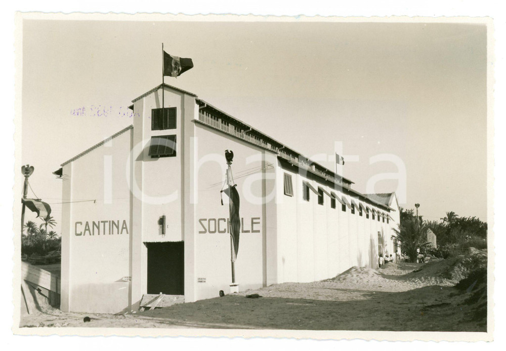 1932 AOI - TRIPOLITANIA Veduta della cantina sociale - Foto 16x11 cm Fotografia originale d'epoca, con timbro datario e didascalia al verso. FAIR/discreto Lieve timbratura al recto Formato: 16x11 cm originale e autentica 1