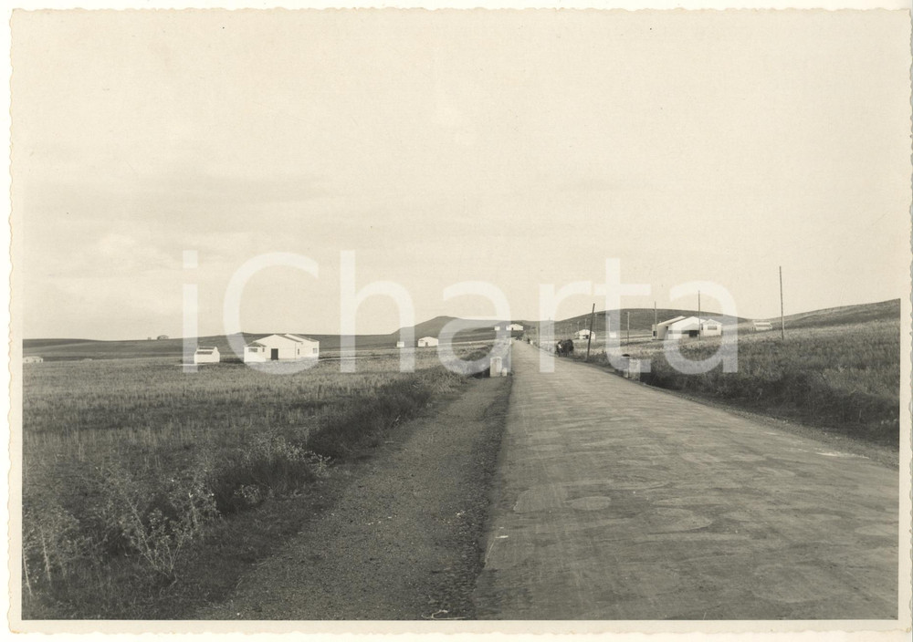 1940 Area di SIRACUSA - Nuovo borgo rurale di FIUMEFREDDO *Foto 23x17 cm Fotografia originale d'epoca, con timbro datario e didascalia al verso. GOOD/buono  Formato: 23x17 cm originale e autentica 1