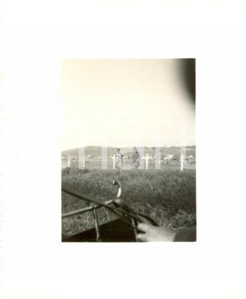 Fotografia d'epoca originale 1937 AOI ERITREA Indigeni delle Truppe Coloniali posano in campagna *Foto 6,5 x5 1