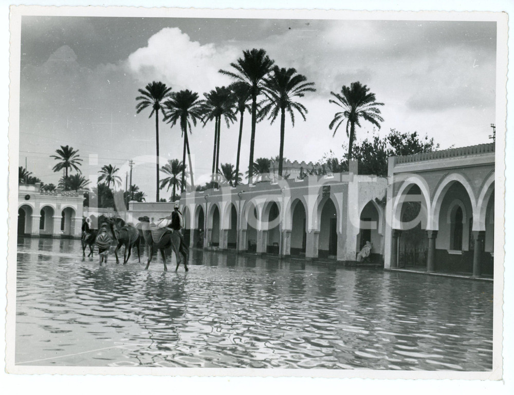 1939 AOI TRIPOLI Cammelli attraversano inondazione di SUK EL GIUMA Foto 23x17 cm Fotografia originale d'epoca, con didascalia al verso. FAIR/discreto Lievi piegature agli angli, piccoli difetti di stampa Formato: 23x17 cm originale e autentica 1