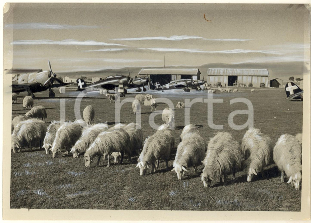 1942 WW2 GUERRA AERONAVALE Base aerea italiana con ovini al pascolo *Foto Fotografia originale d'epoca, con timbro datario e didascalia dattiloscritta. POOR/danneggiato evidenti ritocchi manuali, aloni e sbrecciature angolari Formato: 18x13 cm originale e autentica 1