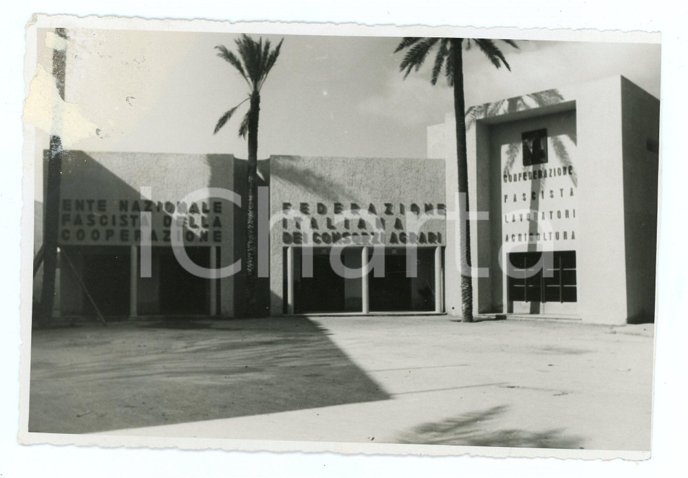 1939 FIERA DI TRIPOLI Padiglione Fed. Italiana Consorzi Agrari - Foto 17x11 cm  Fotografia originale d'epoca, con timbro datario e didascalia al verso.Nella fotografia compaiono inoltre i padiglioni dell'Ente Nazionale Fascista della Cooperazione e della Confederazione Fascista Lavoratori Agricoltura. POOR/danneggiato Pieghe agli angoli di destra, residuo di incollatura al margine sinistro Formato: 17x11 cm originale e autentica 1