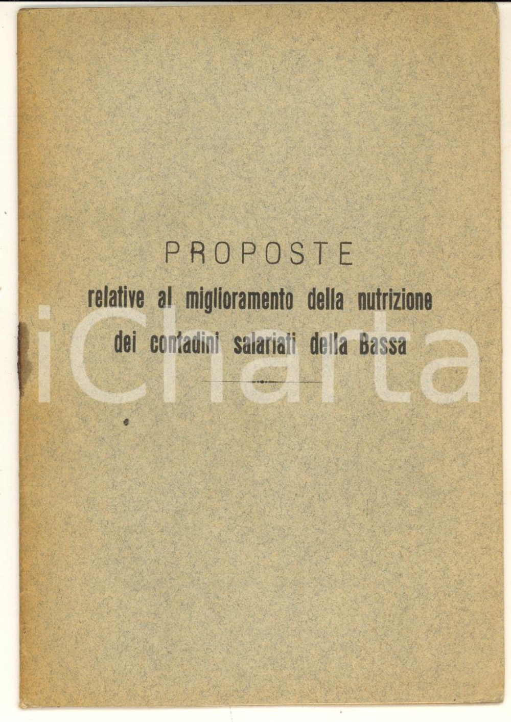 Libro, pubblicazione d epoca 1908 A. RIBONI Miglioramento nutrizione dei contadini salariati della Bassa 5 1