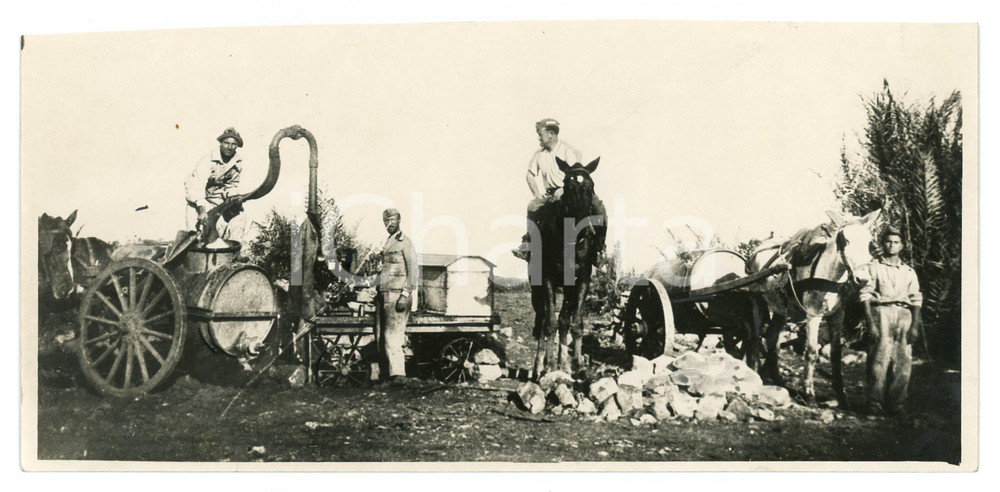 1935 ca AOI - LIBIA I^ Legione libica permanente - Lavori di bonifica - Foto Fotografia originale d'epoca, con didascalia al verso. VERY POOR/gravemente danneggiato margine superiore rifilato a mano, difetti di stampa Formato: 24x11 cm originale e autentica 1