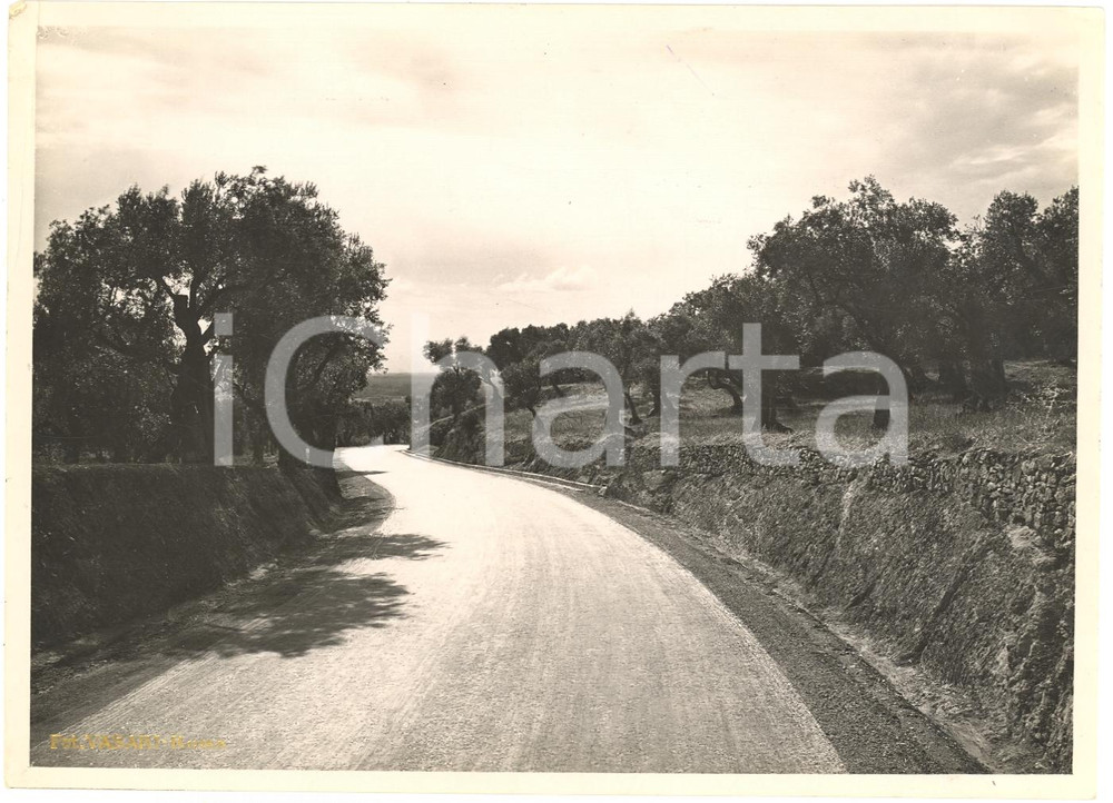 Fotografia d'epoca originale 1935 circa VICOVARO (RM) Via TIBURTINA Tronco da Roma - Foto 1