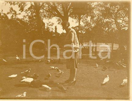 1925 ca BUENOS AIRES - Donna con colombi in un parco - Fotografia 12x9 cm Fotografia originale d'epoca.La fotografia proviene da un più vasto album che documenta i viaggi di una famiglia attraverso l'Europa, il Nord Africa e il Sud America.Rappresenta un'interessante testimonianza di viaggi verso luoghi esotici e lontani o verso i principali monumenti dell'Europa dell'epoca. GOOD/buono  Formato: 12x9 cm originale e autentica 1
