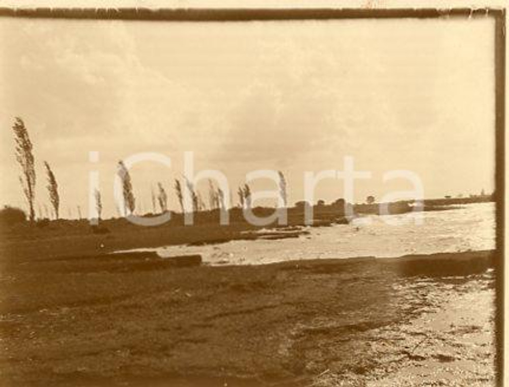 1925 ca ARGENTINA RIO DE LA PLATA Riva con alberi - Fotografia 11x9 cm Fotografia originale d'epoca.La fotografia proviene da un più vasto album che documenta i viaggi di una famiglia attraverso l'Europa, il Nord Africa e il Sud America.Rappresenta un'interessante testimonianza di viaggi verso luoghi esotici e lontani o verso i principali monumenti dell'Europa dell'epoca. GOOD/buono  Formato: 11x9 cm originale e autentica 1
