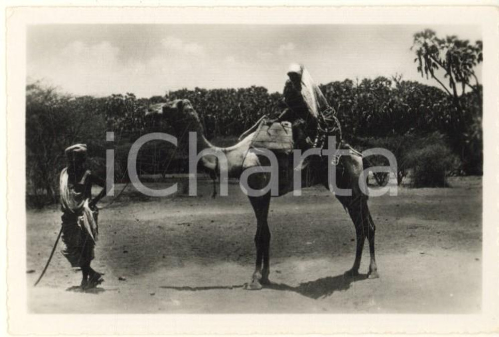Fotografia d epoca originale 1935 ca A.O.I. ETIOPIA Ritratto di donna etiope su cammello VERA FOTO 9x6 cm 1