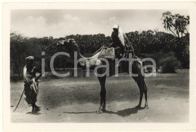 Fotografia d epoca originale 1935 ca A.O.I. ETIOPIA Ritratto di donna etiope su cammello VERA FOTO 9x6 cm 1