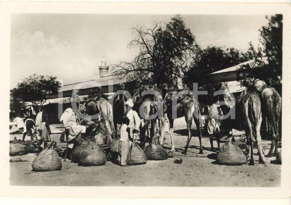 Fotografia d epoca originale 1935 ca A.O.I. ETIOPIA Carovana etiope in partenza VERA FOTO 9x6 cm 1