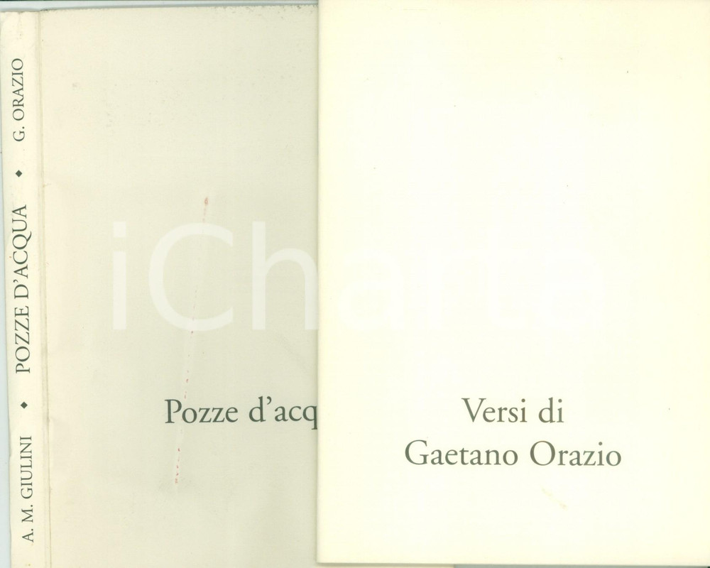 Libro, pubblicazione d epoca 2000 Gaetano ORAZIO Alberto GIULINI Pozze d acqua Versi e dipinti CON TAVOLE 1