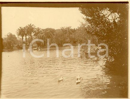 1925 ca BUENOS AIRES Parque Tres de Febrero (2) - Foto animata 12x9 cm Fotografia originale d'epoca.La fotografia proviene da un più vasto album che documenta i viaggi di una famiglia attraverso l'Europa, il Nord Africa e il Sud America. Rappresenta un'interessante testimonianza di viaggi verso luoghi esotici e lontani o verso i principali monumenti dell'Europa dell'epoca. GOOD/buono  Formato: 11x9 cm originale e autentica 1