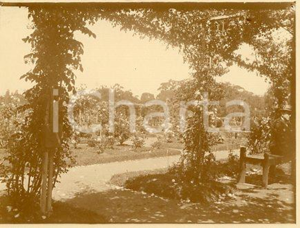 1925 ca BUENOS AIRES ARGENTINA Paseo el Rosedal (2) - Foto 12x9 cm Fotografia originale d'epoca.La fotografia proviene da un più vasto album che documenta i viaggi di una famiglia attraverso l'Europa, il Nord Africa e il Sud America. Rappresenta un'interessante testimonianza di viaggi verso luoghi esotici e lontani o verso i principali monumenti dell'Europa dell'epoca. GOOD/buono  Formato: 11x9 cm originale e autentica 1