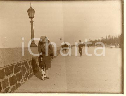 1925 ca BUENOS AIRES Lungomare COSTANERA Donna con cagnolino (3) Foto 12x9 cm Fotografia originale d'epoca.La fotografia proviene da un più vasto album che documenta i viaggi di una famiglia attraverso l'Europa, il Nord Africa e il Sud America.Rappresenta un'interessante testimonianza di viaggi verso luoghi esotici e lontani o verso i principali monumenti dell'Europa dell'epoca. FAIR/discreto lieve difetto di stampa Formato: 12x9 cm originale e autentica 1