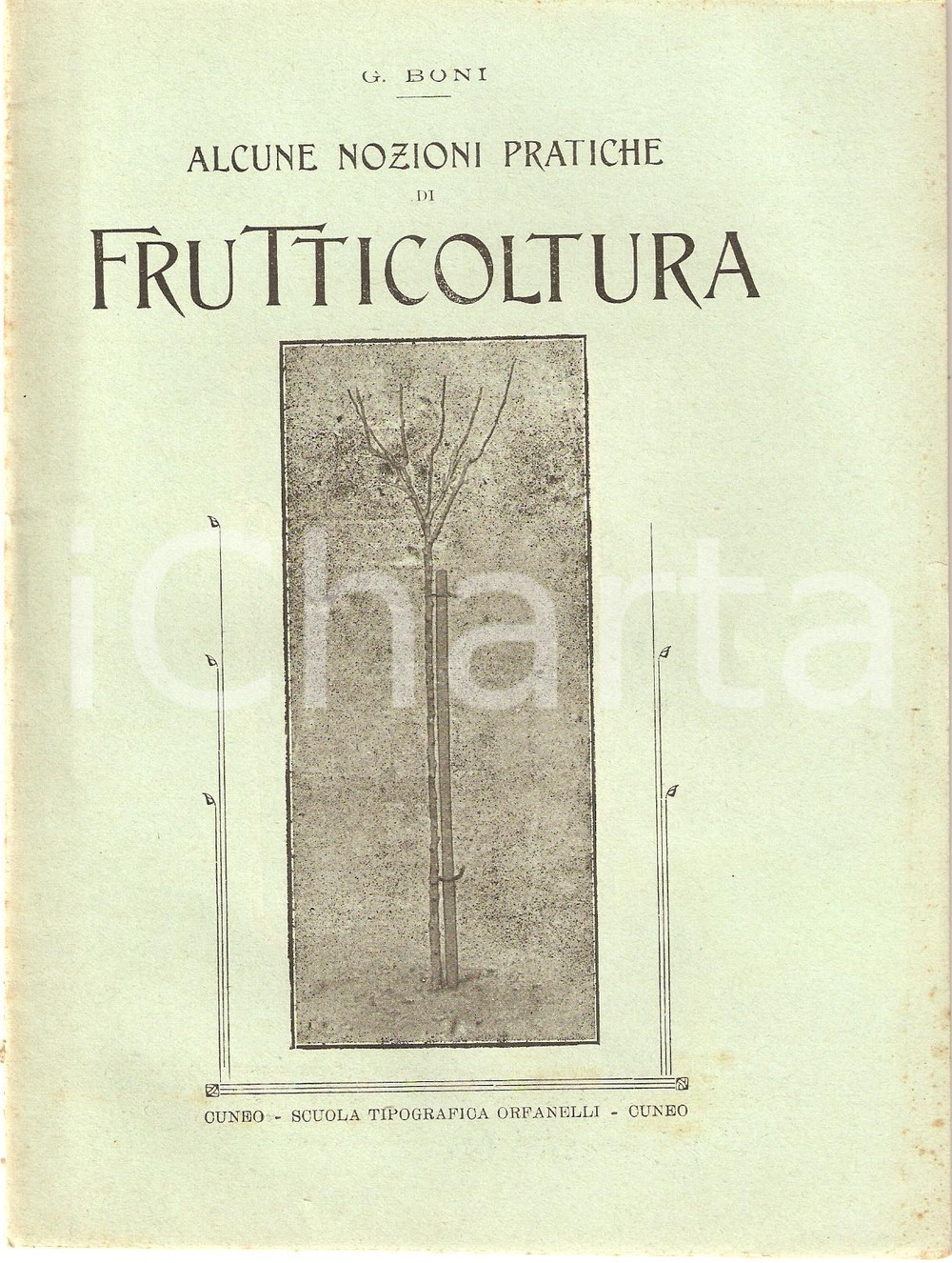 Libro, pubblicazione d epoca 1918 Giglio BONI NOZIONI DI FRUTTICOLTURA Inserto AGRICOLTURA SUBALPINA 5 1