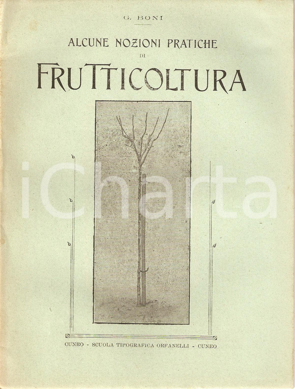 Libro, pubblicazione d epoca 1918 Giglio BONI NOZIONI DI FRUTTICOLTURA Inserto AGRICOLTURA SUBALPINA 2 1