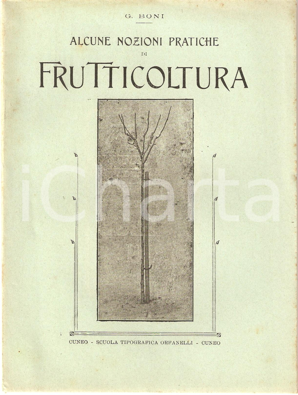 Libro, pubblicazione d epoca 1918 Giglio BONI NOZIONI DI FRUTTICOLTURA Inserto AGRICOLTURA SUBALPINA 3 1