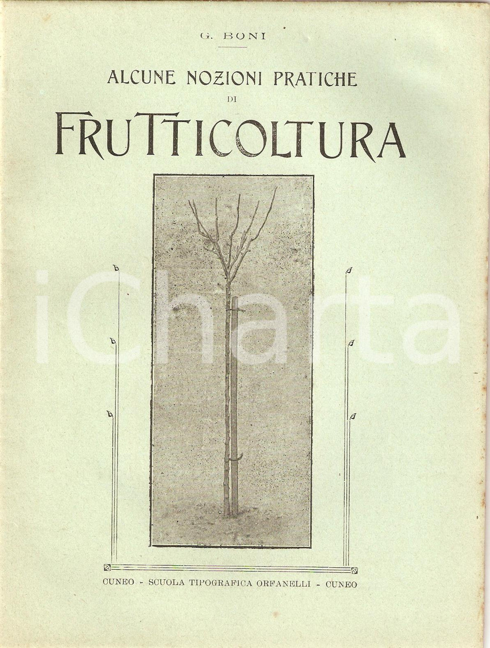 Libro, pubblicazione d epoca 1918 Giglio BONI NOZIONI DI FRUTTICOLTURA Inserto AGRICOLTURA SUBALPINA 4 1
