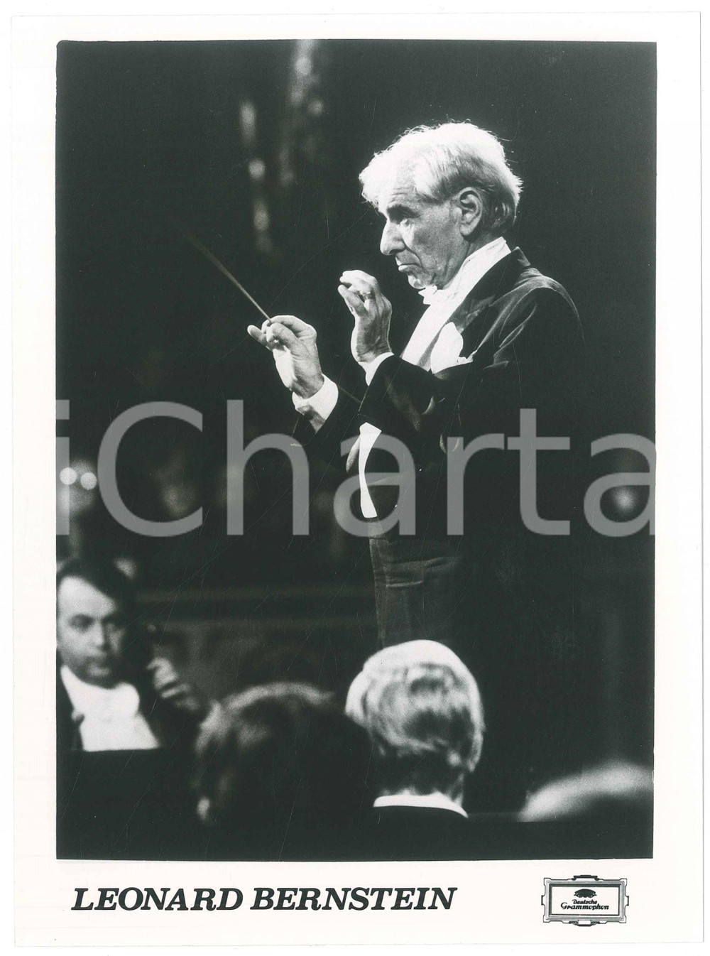 1980 ca MUSICA Leonard BERNSTEIN dirige un'orchestra - Foto 17x24 (3) Fotografia d'agenzia realizzata per Deutsche Grammophon.  GOOD/buono  Formato: 17x24 cm originale e autentica 1