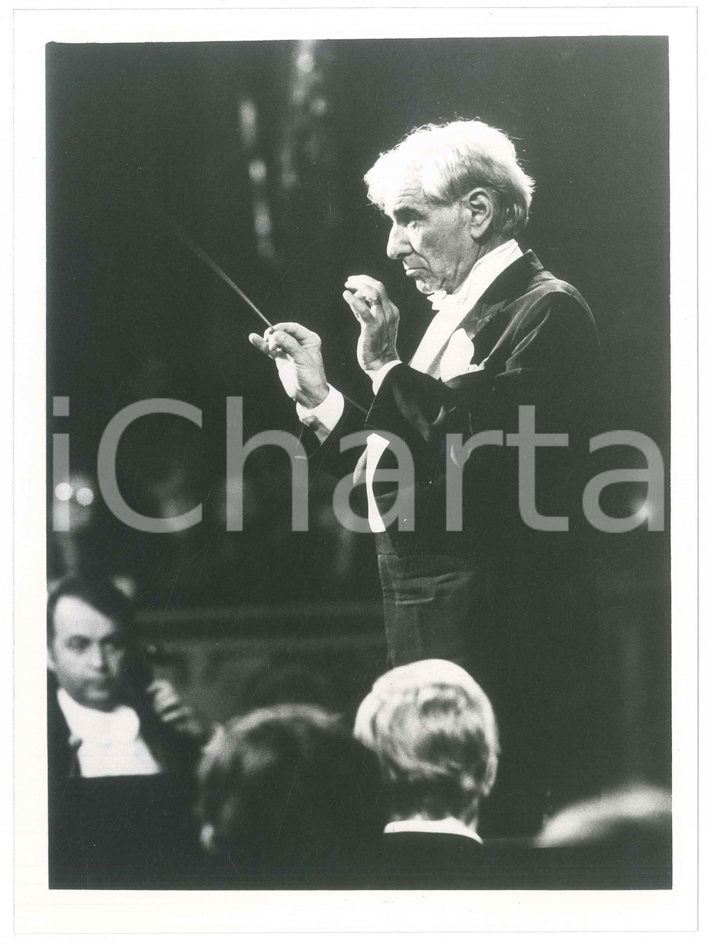 1980 ca MUSICA Leonard BERNSTEIN dirige un'orchestra - Foto 17x24 (1) Fotografia d'agenzia.  GOOD/buono  Formato: 17x24 cm originale e autentica 1